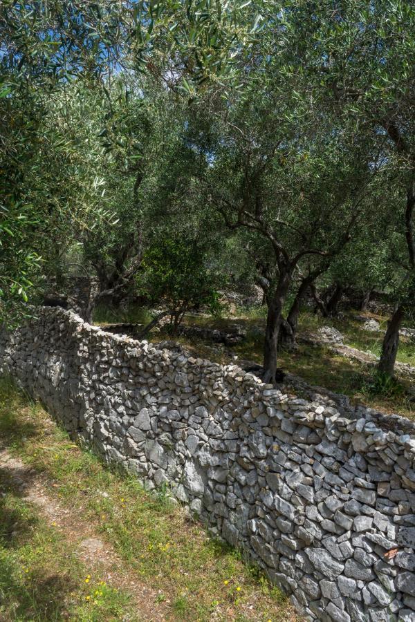 Villa Elaia Suites & Apartments No.5 Gaios Luaran gambar